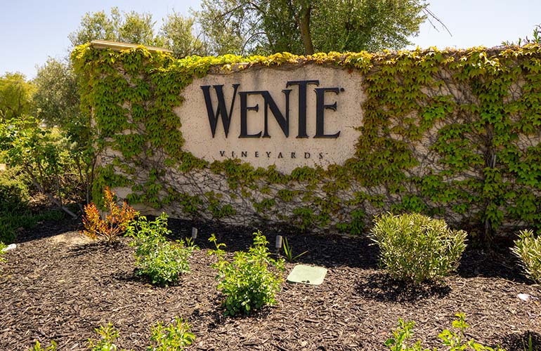 Wente Vineyard sign